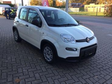 SPOTICAR Fiat Panda Hybrid Tweedehands - Monospace Benzine Blanc - Putte - 1200370768_4