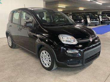 SPOTICAR Fiat Panda Hybrid Pandina Tweedehands - Monospace Hybrid Noir - Aartselaar - 1200372682_1
