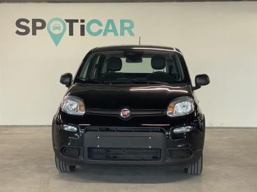 SPOTICAR Fiat Panda Hybrid Pandina Tweedehands - Monospace Hybrid Noir - Aartselaar - 1200372682_3