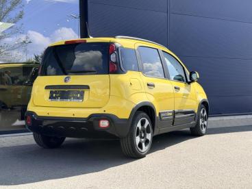 SPOTICAR Fiat Panda 4343 Km - Pandina Cross - Carplay - Occasions - Monospace Essence Yellow - Gembloux - 1200374774_4