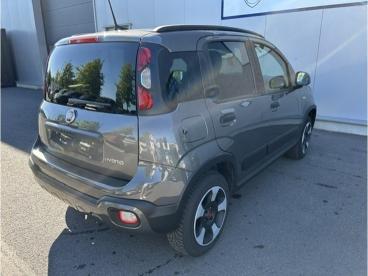 SPOTICAR Fiat Panda Cross 1.0i Mhev Tweedehands - Monospace Hybrid Gris - Geel - 100376936_5