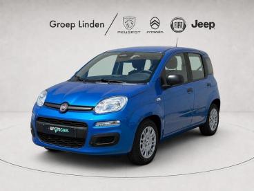 SPOTICAR Fiat Panda *airco* 1.0 Benz/hybrid Tweedehands - Monospace Hybrid Bleu - Oostende - 1200377183_1