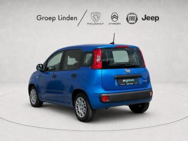 SPOTICAR Fiat Panda *airco* 1.0 Benz/hybrid Tweedehands - Monospace Hybrid Bleu - Oostende - 1200377183_3