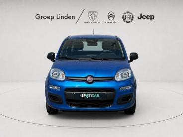 SPOTICAR Fiat Panda *airco* 1.0 Benz/hybrid Tweedehands - Monospace Hybrid Bleu - Oostende - 1200377183_5