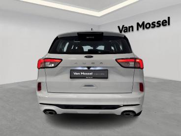 SPOTICAR Ford Kuga 1.5i Ecoboost 110kw St-line Tweedehands - Suv Benzine  - Hasselt - 1200369028_3