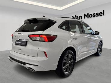 SPOTICAR Ford Kuga 1.5i Ecoboost 110kw St-line Tweedehands - Suv Benzine  - Hasselt - 1200369028_4