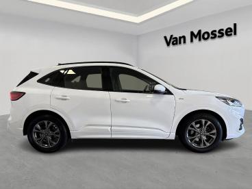 SPOTICAR Ford Kuga 1.5i Ecoboost 110kw St-line Tweedehands - Suv Benzine  - Hasselt - 1200369028_5