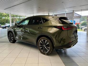 SPOTICAR Lexus Nx 2 450h+ 4x4 F-sport Line Occasions -  Hybride Rechargeable Groen - Mechelen - 1200360495_5