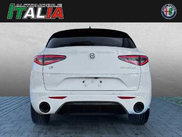 ALFA ROMEO CERTIFIED Alfa Romeo Stelvio Tributo Italiano 2.0 Turbo Q4 Gebraucht - Suv Benzin  - Regensburg - 1091540_4