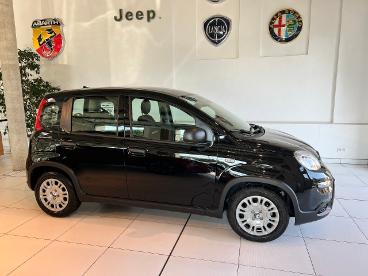 SPOTICAR Fiat Panda Pandina Gebraucht - Kleinwagen Benzin  - Dresden - 1201050047_3