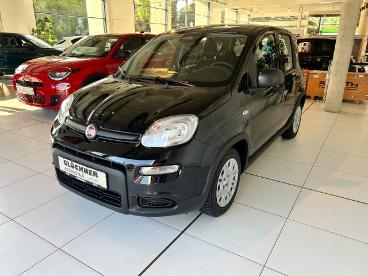 SPOTICAR Fiat Panda Pandina Gebraucht - Kleinwagen Benzin  - Dresden - 1201050047_4