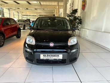 SPOTICAR Fiat Panda Pandina Gebraucht - Kleinwagen Benzin  - Dresden - 1201050048_5
