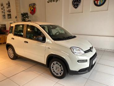 SPOTICAR Fiat Panda Hybrid Pandina Pandina Gebraucht - Kleinwagen Benzin  - Dresden - 1201052383_2