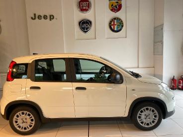 SPOTICAR Fiat Panda Hybrid Pandina Pandina Gebraucht - Kleinwagen Benzin  - Dresden - 1201052383_5