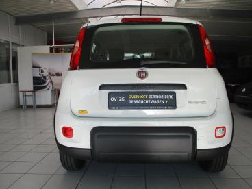 SPOTICAR Fiat Panda 1.0 Gse Mild Hybrid Gebraucht - Kleinwagen Benzin Weiß - Lingen - 1201130192_5