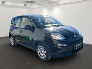 SPOTICAR Fiat Panda 1.0 Gse Hybrid Gebraucht - Kleinwagen Benzin Schwarz - Erfurt - 1201131624_2