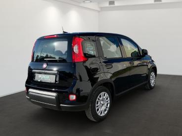 SPOTICAR Fiat Panda 1.0 Gse Hybrid Gebraucht - Kleinwagen Benzin Schwarz - Erfurt - 1201131624_3