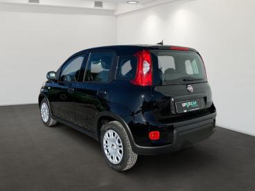 SPOTICAR Fiat Panda 1.0 Gse Hybrid Gebraucht - Kleinwagen Benzin Schwarz - Erfurt - 1201131624_4