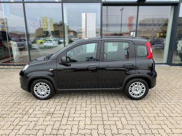 SPOTICAR Fiat Panda 1.0 Hybrid+komfortpaket+5sitz Gebraucht - Kleinwagen Benzin Schwarz - Kehl - 1201134477_2
