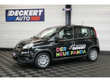 SPOTICAR Fiat Panda 1.0 Mild Hybrid Eu6e , City Paket, Pdc Hinten, Tem Gebraucht - Kleinwagen Benzin  - Homburg - 1201150817_1
