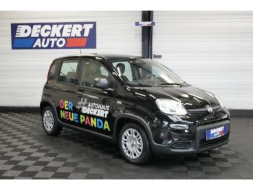 SPOTICAR Fiat Panda 1.0 Mild Hybrid Eu6e , City Paket, Pdc Hinten, Tem Gebraucht - Kleinwagen Benzin  - Homburg - 1201150817_2