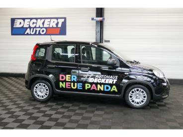 SPOTICAR Fiat Panda 1.0 Mild Hybrid Eu6e , City Paket, Pdc Hinten, Tem Gebraucht - Kleinwagen Benzin  - Homburg - 1201150817_3