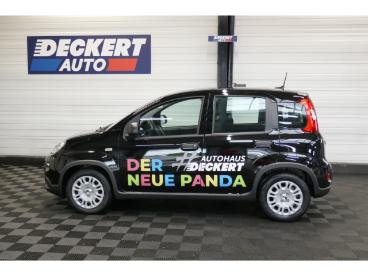 SPOTICAR Fiat Panda 1.0 Mild Hybrid Eu6e , City Paket, Pdc Hinten, Tem Gebraucht - Kleinwagen Benzin  - Homburg - 1201150817_4