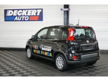 SPOTICAR Fiat Panda 1.0 Mild Hybrid Eu6e , City Paket, Pdc Hinten, Tem Gebraucht - Kleinwagen Benzin  - Homburg - 1201150817_5