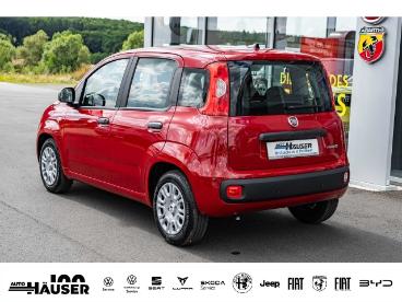 SPOTICAR Fiat Panda My25 Hybrid 1.0 Gse City-paket Tempomat Pdc Klima Gebraucht - Kleinwagen Benzin Rot - Pohlheim - 1201157260_4