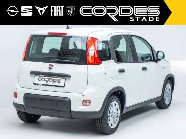 SPOTICAR Fiat Panda Pandina City Paket 1.0 Mild Hybrid Klima Dab Pdc ( Gebraucht - Kleinwagen Benzin  - Stade - 1201169922_4