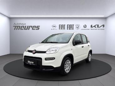 SPOTICAR Fiat Panda Pandina Hybrid 70 Ps, Gelato Weisz, Klima, 5-sitzer Gebraucht - Kleinwagen Hybrid  - Heinsberg - 1201189382_1