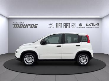 SPOTICAR Fiat Panda Pandina Hybrid 70 Ps, Gelato Weisz, Klima, 5-sitzer Gebraucht - Kleinwagen Hybrid  - Heinsberg - 1201189382_2