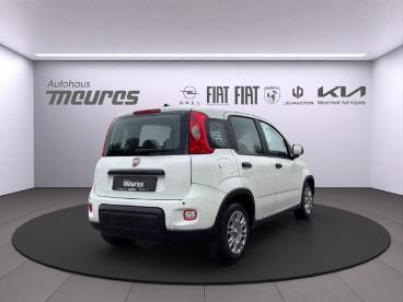 SPOTICAR Fiat Panda Pandina Hybrid 70 Ps, Gelato Weisz, Klima, 5-sitzer Gebraucht - Kleinwagen Hybrid  - Erkelenz - 1201189682_4