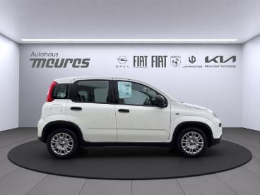 SPOTICAR Fiat Panda Pandina Hybrid 70 Ps, Gelato Weisz, Klima, 5-sitzer Gebraucht - Kleinwagen Hybrid  - Erkelenz - 1201189682_5