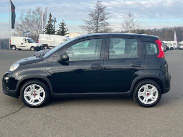SPOTICAR Fiat Panda Base / Klima, Radio, Elektr. Fh Vorn, Bluetooth Gebraucht - Kleinwagen Hybrid Schwarz - Chemnitz - 1201200555_2