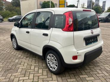 SPOTICAR Fiat Panda Pandina - Klima/dab+/bluetooth/pdc Gebraucht - Kleinwagen   - Gräfenhainichen - 1201203404_3