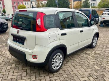 SPOTICAR Fiat Panda Pandina - Klima/dab+/bluetooth/pdc Gebraucht - Kleinwagen   - Gräfenhainichen - 1201203404_4