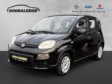 SPOTICAR Fiat Panda Base 1.0 Mild Hybrid Dab Klima Freisprech Bt El.sp Gebraucht - Kleinwagen Benzin  - Bremerhaven - 1201215138_1