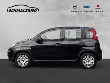 SPOTICAR Fiat Panda Base 1.0 Mild Hybrid Dab Klima Freisprech Bt El.sp Gebraucht - Kleinwagen Benzin  - Bremerhaven - 1201215138_2