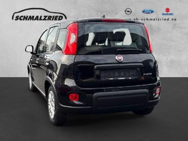 SPOTICAR Fiat Panda Base 1.0 Mild Hybrid Dab Klima Freisprech Bt El.sp Gebraucht - Kleinwagen Benzin  - Bremerhaven - 1201215138_3