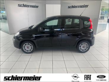 SPOTICAR Fiat Panda Klima Radio Dab/usb/freisprech. Zv Gebraucht - Kleinwagen Benzin  - Rheine - 1201216009_1