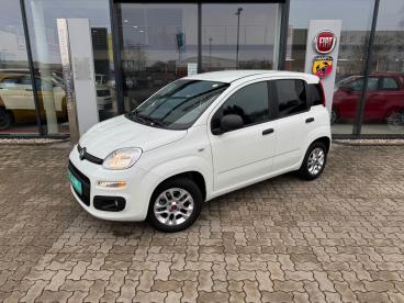 SPOTICAR Fiat Panda 1.2 Easy Sondermodell More - Viele Extras Gebraucht - Kleinwagen Benzin Weiß - Kehl - 1201227398_1