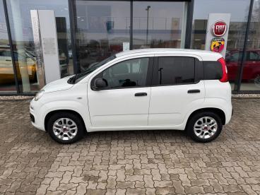 SPOTICAR Fiat Panda 1.2 Easy Sondermodell More - Viele Extras Gebraucht - Kleinwagen Benzin Weiß - Kehl - 1201227398_2