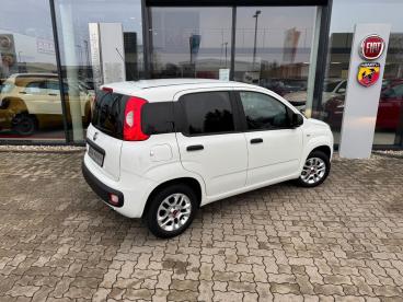 SPOTICAR Fiat Panda 1.2 Easy Sondermodell More - Viele Extras Gebraucht - Kleinwagen Benzin Weiß - Kehl - 1201227398_3