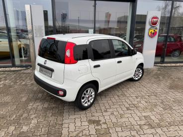 SPOTICAR Fiat Panda 1.2 Easy Sondermodell More - Viele Extras Gebraucht - Kleinwagen Benzin Weiß - Kehl - 1201227398_4