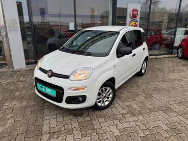 SPOTICAR Fiat Panda 1.2 Easy Sondermodell More - Viele Extras Gebraucht - Kleinwagen Benzin Weiß - Kehl - 1201227398_5
