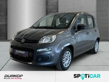SPOTICAR Fiat Panda 1.0 Base City Mild Hybrid Gebraucht - Kleinwagen Benzin Grau - Braunschweig - 1201248897_1