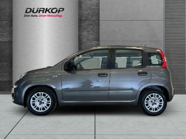 SPOTICAR Fiat Panda 1.0 Base City Mild Hybrid Gebraucht - Kleinwagen Benzin Grau - Braunschweig - 1201248897_2