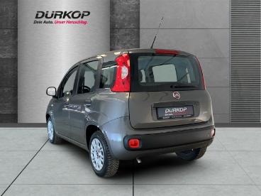 SPOTICAR Fiat Panda 1.0 Base City Mild Hybrid Gebraucht - Kleinwagen Benzin Grau - Braunschweig - 1201248897_3
