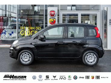 SPOTICAR Fiat Panda My26 Pandina Icon Hybrid 1.0 Gse Tempomat Pdc 5-si Gebraucht - Kleinwagen Benzin  - Pohlheim - 1201249489_3